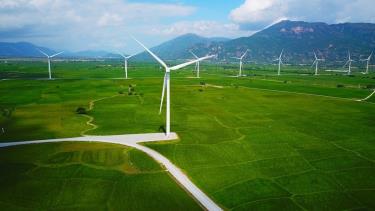 Cánh đồng điện gió xã Ninh Hải, tỉnh Khánh Hòa. Ảnh: MINH MINH